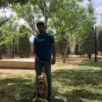 پیتبول ماده|سگ|کرج, باغستان|دیوار