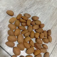 بادام ترد و خوشمزه مال امسال قیمت مناسب ۶۲۰ تومان