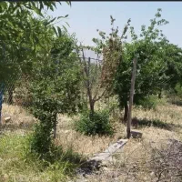 زمین باغ|فروش زمین و ملک کلنگی|شوشتر, |دیوار