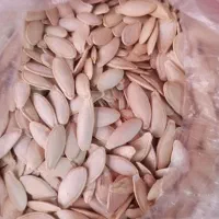 تخمه کدو