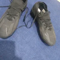 پول لازم|کیف، کفش، کمربند|شیراز, شریف‌آباد|دیوار