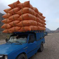 کاه تازه
