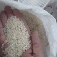 برنج طارم هاشمی|خوردنی و آشامیدنی|گرگان, |دیوار