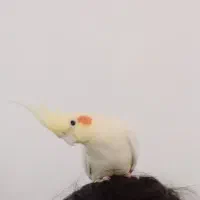 لطفا کمک کنید