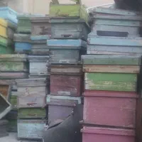 کندوخالی باقاب