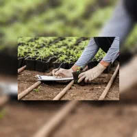 کشاورزی سودآور / بازدید و کارشناسی
