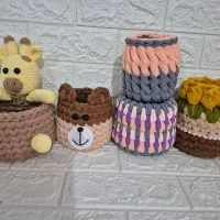 نظمدهنده جاقلمی