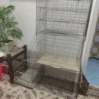 قفس پرنده