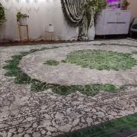 فرش 12متری 1200شانه تراکم 3600|فرش|قم, شهرک شهرداری|دیوار