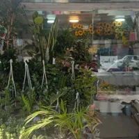 همکار جهت کار در گلفروشی تایم شب