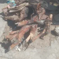 فروش چوب کنار خشک کرده