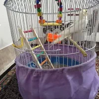 قفس پرنده|لوازم جانبی حیوانات|سبزوار, باهنر|دیوار