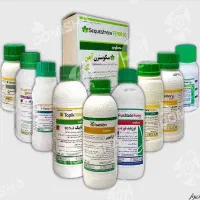 سمپاشی وباغبانی ودرخت کاری و پاکدشت ورامین