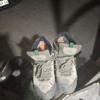 کفش اصل هامتو