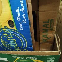 کارتن موزی سالم