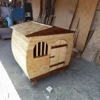 این لونه سگ یا لونه مرغ