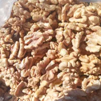 خشکبار بوانات ،،عمده و خرده .|خوردنی و آشامیدنی|شیراز, احمدی جنوبی|دیوار