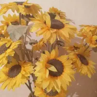 درخت نخل مصنوعی۳۵۰ تومان|گل مصنوعی|شهرکرد, |دیوار