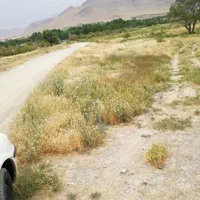 زمین باغی|فروش زمین و ملک کلنگی|زالیان, |دیوار