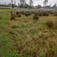 زمین فروشی وماوضه زمین باماشین وآپارتمان|پیشفروش املاک|تالش, هشتپر|دیوار