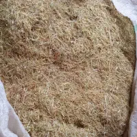 کاه پخل شالی