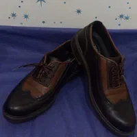 کفش رسمی ، مجلسی|کیف، کفش، کمربند|اهواز, گلستان|دیوار