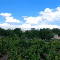 ۲۷۰۰مترباغ درجه یک ازندریان