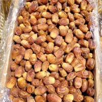 خرمازاهدی شیراز|خدمات باغبانی و درختکاری|زاهدان, |دیوار
