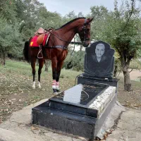 نریان ترکمن