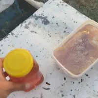 عسل نمدار