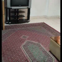 تلویزیون ۲۹ اینچ ب همراه میز