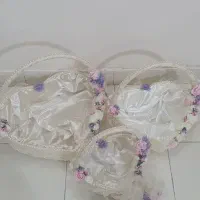 سبدبله برون درحدنو