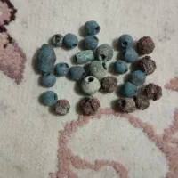 مهره قدیمی|کلکسیون اشیاء عتیقه|رودان, |دیوار