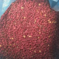 فروش دو تن ونیم لوبیا قرمز|خوردنی و آشامیدنی|درودزن, |دیوار