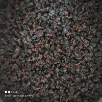 کشمش و گردو بوانات|خوردنی و آشامیدنی|شیراز, کوشک میدان|دیوار