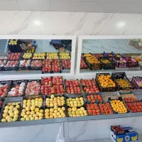 استخدام یک نفر همکار خانم