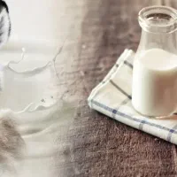 شیرخر بسیار سالم و مقوی درمان انواع بیماری ها|خوردنی و آشامیدنی|الوند, |دیوار