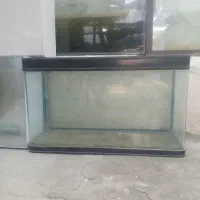 فروش اکواریوم مناسب ماهی قرمز