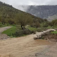 زمین-مناسب-باغ
