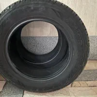 لاستیک افرودی تی ۸