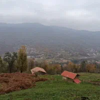 اجاره کلبه جنگلی