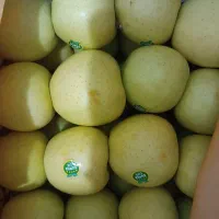سیب