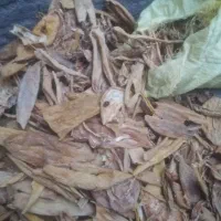 پوست خربزه خشک و خار|خوردنی و آشامیدنی|تربت جام, یحیی آباد|دیوار