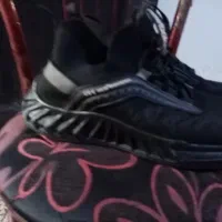 کتانی و دمبایی|کیف، کفش، کمربند|رشت, سلیمانداراب|دیوار