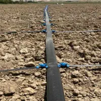 نوارکشی|عمدهفروشی|فسارود, |دیوار