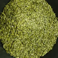 قوتو اصل کرمان|خوردنی و آشامیدنی|مشهد, کوشش|دیوار