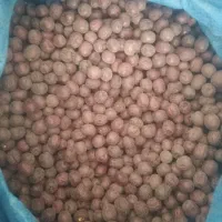 عناب خشک امسال درجه یک