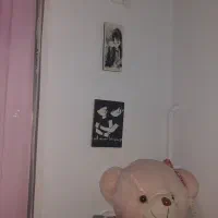 چند عدد تابلو مخصوص اتاق دخترونه|تابلو، نقاشی، عکس|رشت, منظریه|دیوار