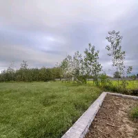 250متر زمین باغات داخل طرح هادی، بر آسفالت|فروش زمین و ملک کلنگی|صومعه‌سرا, |دیوار