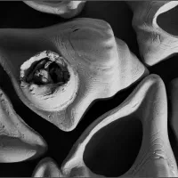 سفالگری|خدمات آموزشی|اصفهان, ملک‌شهر|دیوار